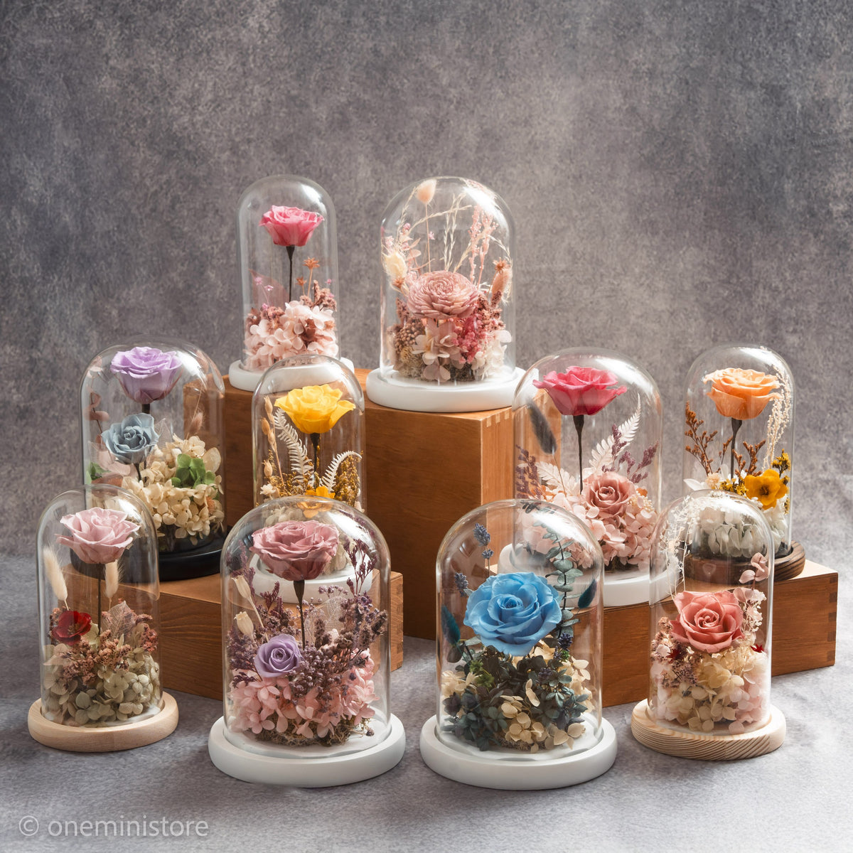 Sola Flower and Preserved Flowers Glass Dome