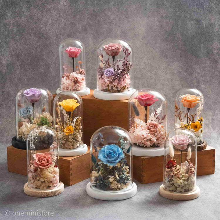 Preserved & Dried Flowers Art