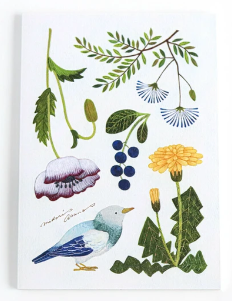 Cozyca Products Midori Asano A5 notebook