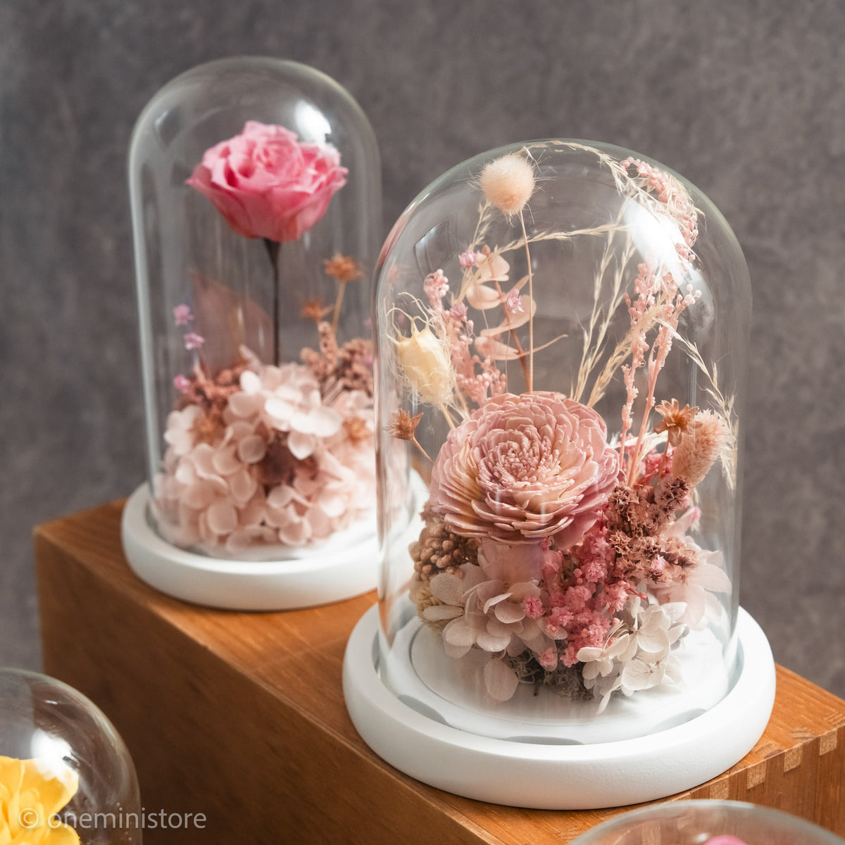 Sola Flower and Preserved Flowers Glass Dome