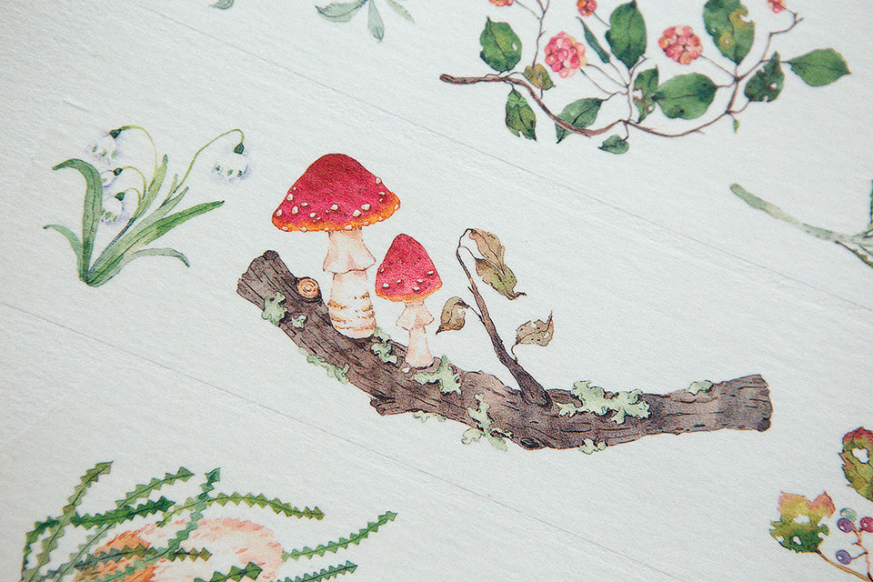 Ours Studio - Wild wreath 2 washi tape