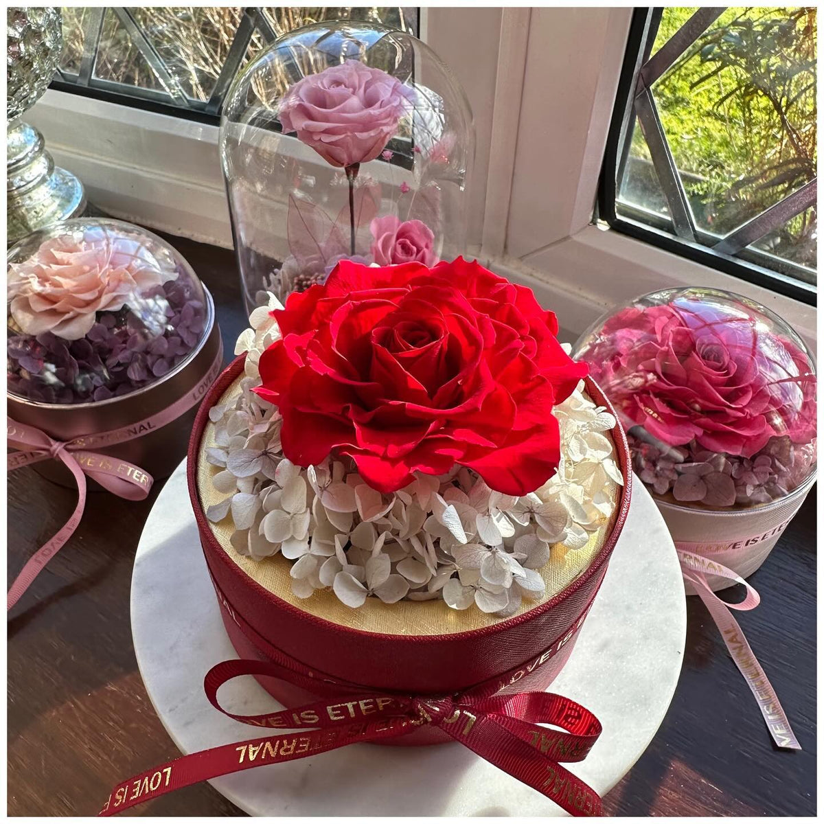 Enlarged Preserved Rose Dome Box