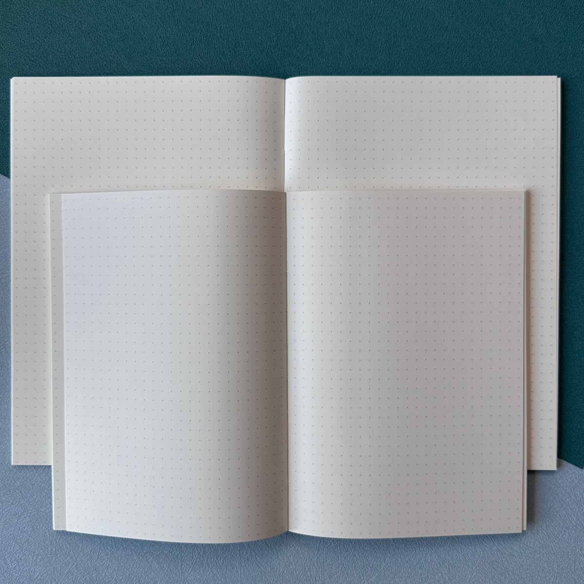 Tomoe River notebook (A5 & B6)