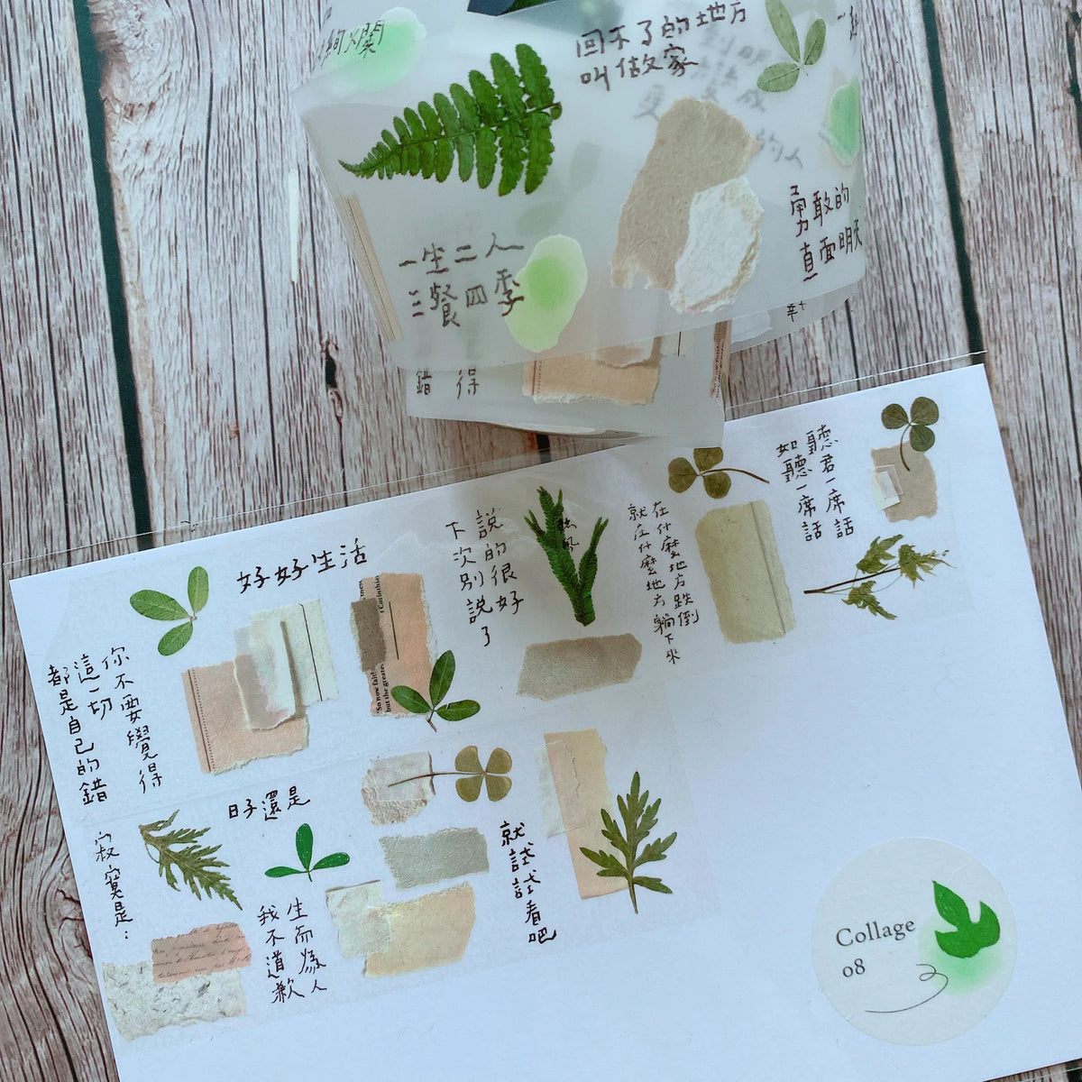 Shiwu Studio Collage 08 Matte PET Tape