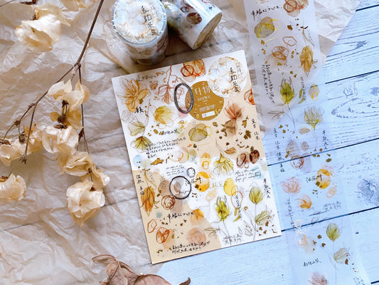 Shiwu Studio "23.5 North Latitude" Series - Oolong Tea Gold Matte PET tape