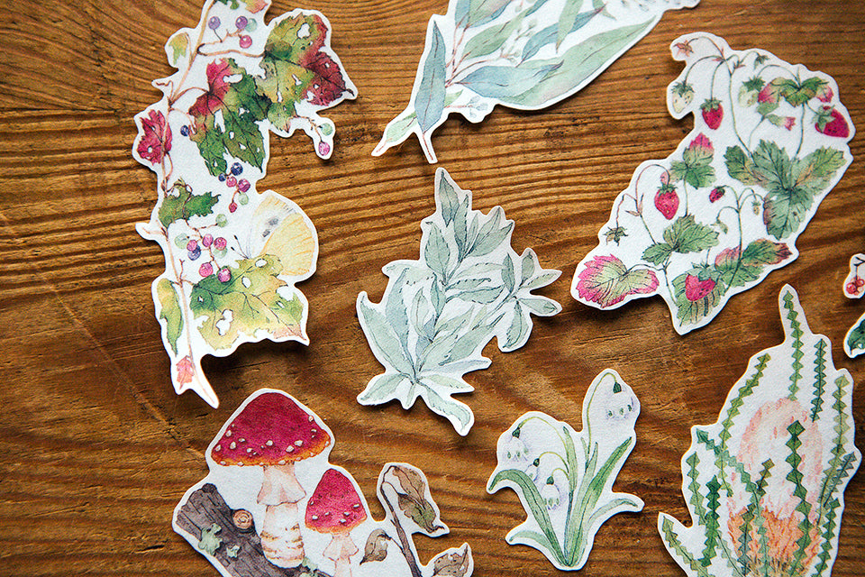 Ours Studio - Wild wreath 2 washi tape