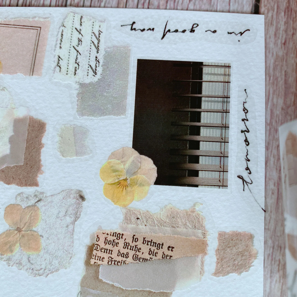 Shiwu Studio Collage 09 Matte PET Tape
