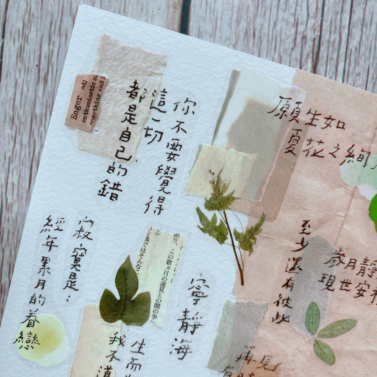 Shiwu Studio Collage 08 Matte PET Tape