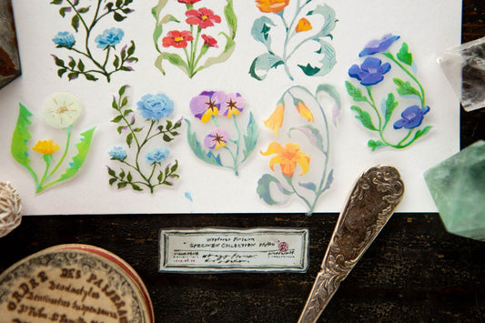 The Wayfarer's Journal PET Tape 花草帳